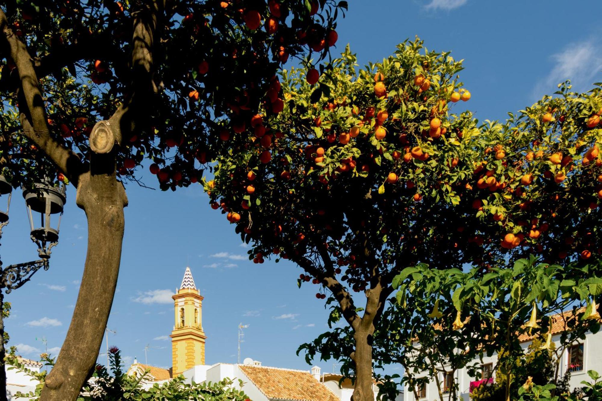 Casa Del Patio - Boutique Apartments (Adults Only) Estepona Ngoại thất bức ảnh